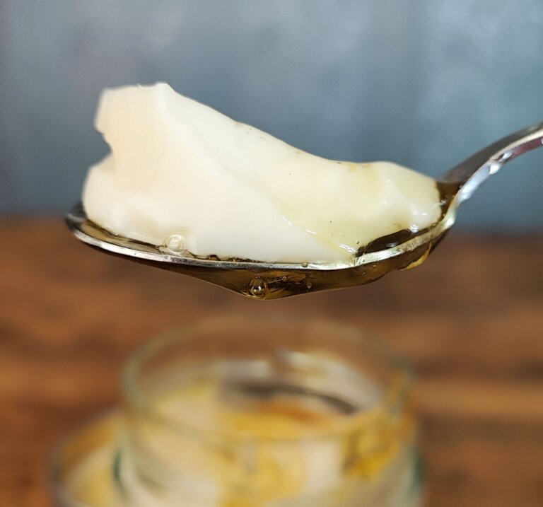 Σπιτικό γιαούρτι βρώμης με 2 υλικά | Νηστίσιμο