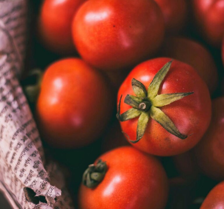 Ντομάτες: Πότε είναι χαλασμένες και πότε μπορούμε να τις φάμε;